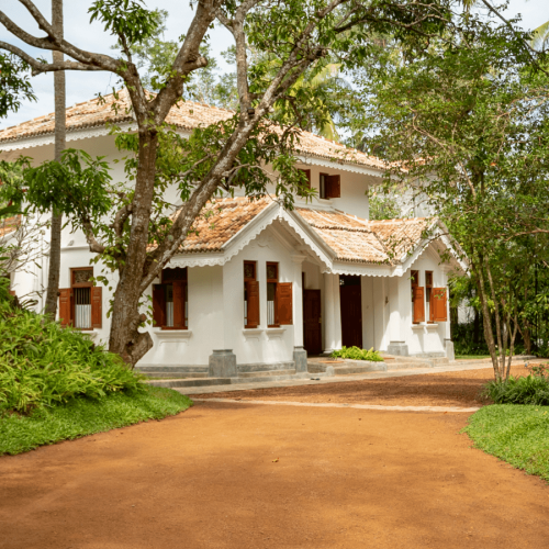 gallery-image-type-2-1-2