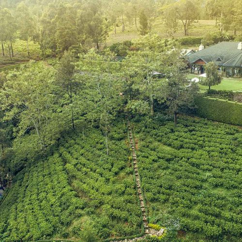 the-bungalow-7gal_desk_